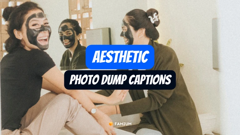 Aesthetic Photo Dump Captions for Instagram